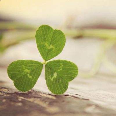 圣诞老人卡丁车